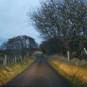 Meet your Posher, Frances